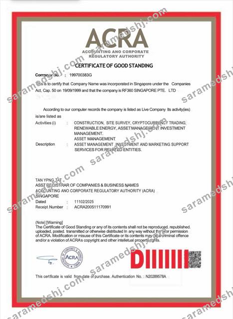 Singapore certificate of good standing Word and PDF template